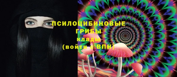 apvp Лагань